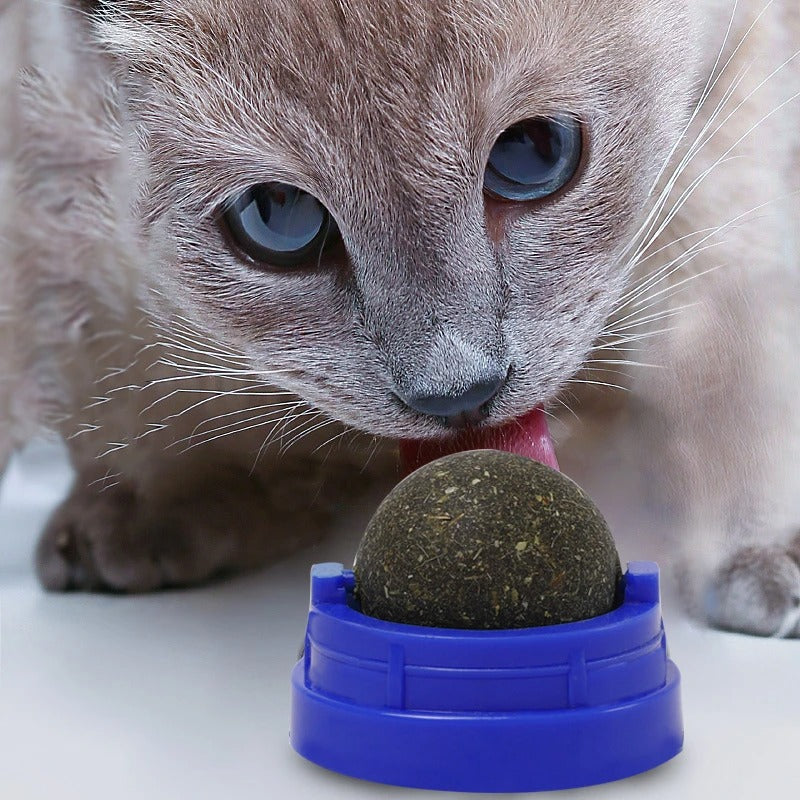 Crazy Loveable Catnip Lick & Nuzzle Ball