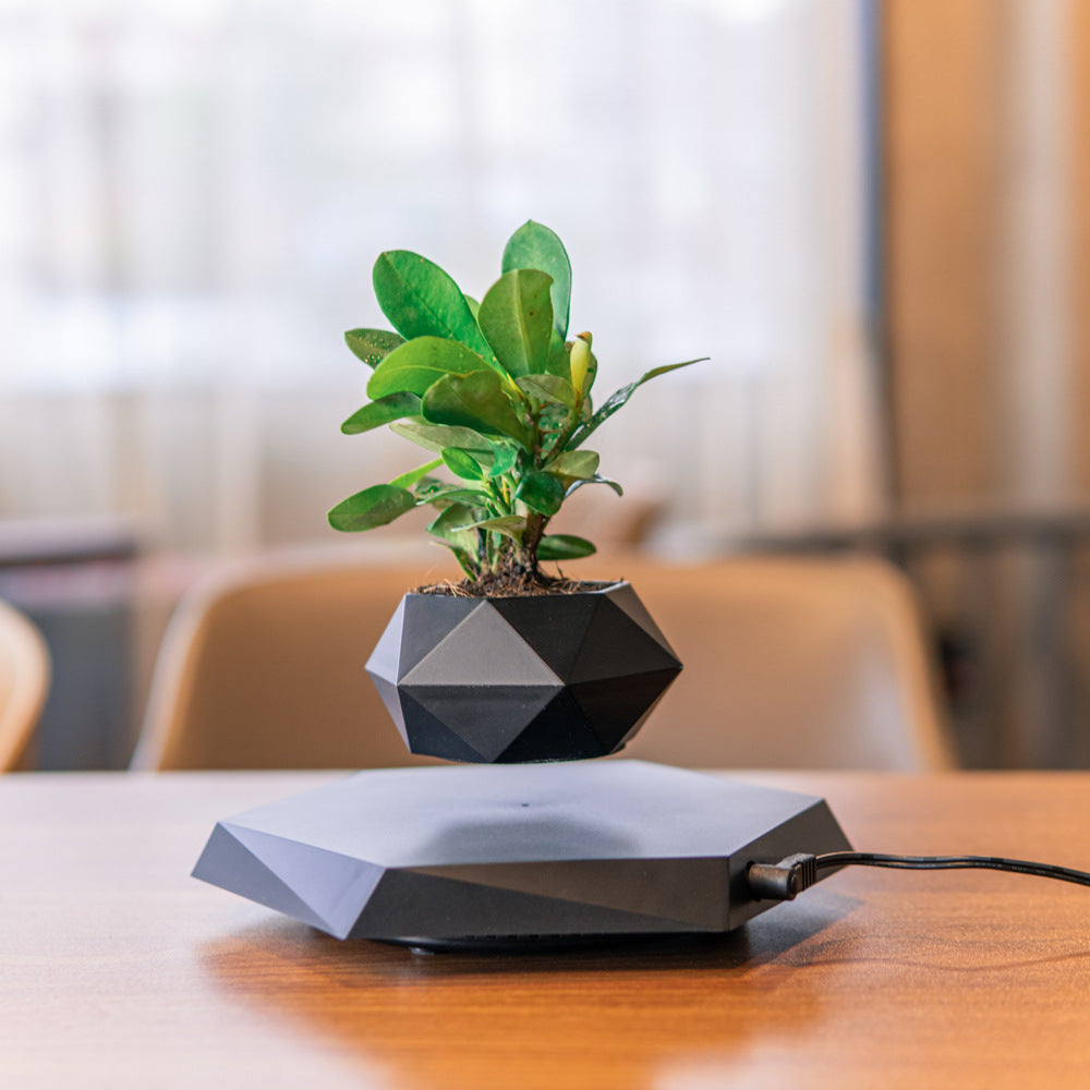 Floating Magnetic Levitating Flower Planter For Home & Office