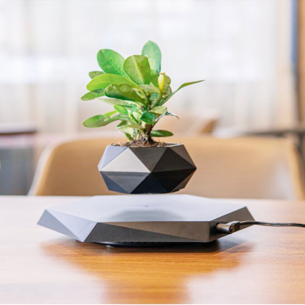 Floating Magnetic Levitating Flower Planter For Home & Office